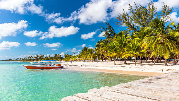 guide complet punta cana attractions incontournables